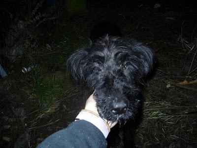 OLIVIA ESTÁ EN LOS HUESOS; MUY URGENTE!