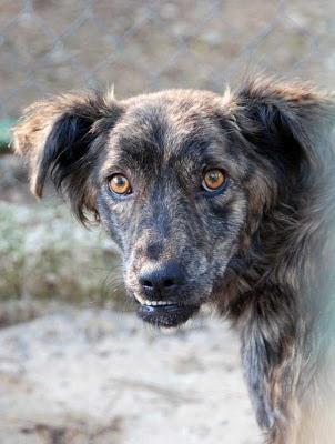 TRISTEZA, SOLA Y ENFERMA EN EL ALBERGUE