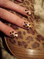 Animal Print 2011