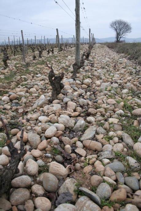 cantos rodados terroir Crozes Hermitage