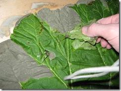 FP2MGWSG8LWTF86.MEDIUM