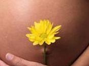 homeopatía durante embarazo