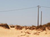 Respuestas Otorrinolaringología Cirugía Maxilofacial 2011