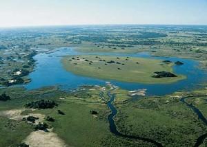 El delta del Okavango es uno de los sistemas hidrológicos más grandes del mundo