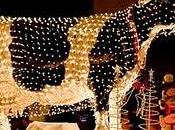 Física antonio ozores