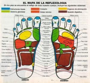 mapa reflexologia1 300x277 Reflexología y salud integral