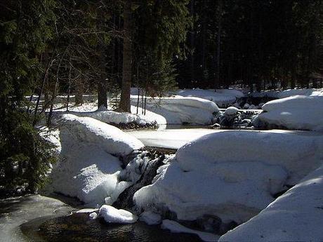 PARECE QUE EL FRIO SE QUEDARÁ UNA TEMPORADA Borovets