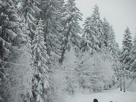 PARECE QUE EL FRIO SE QUEDARÁ UNA TEMPORADA Borovets