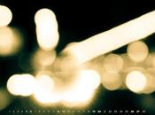 Calendario febrero 2011: Supernova