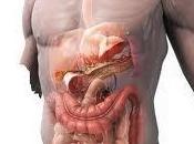 ¿Qué peritonitis?