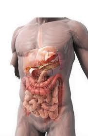 images images ¿Qué es una peritonitis?