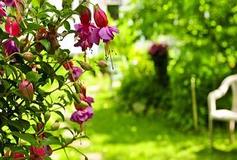 Mejora el suelo de tu jardín - Paperblog