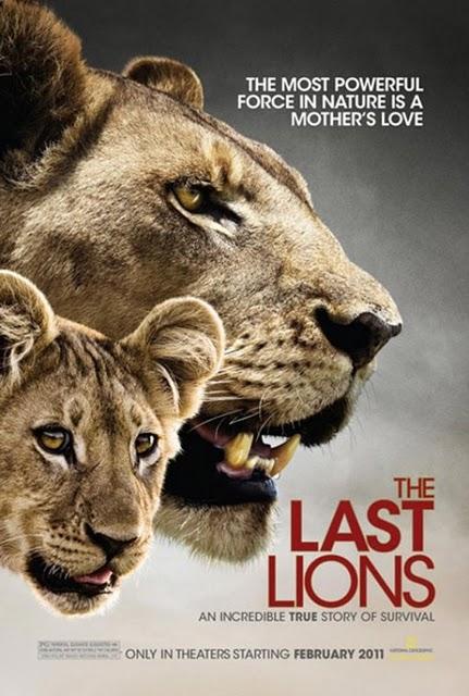 Se acerca el estreno sólo en cines del documental 'The last lions'