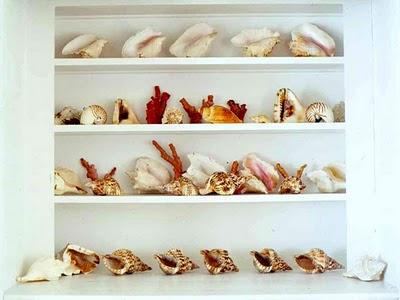 INSPIRACIÓN: UNA ESTANTERÍA CON CARACOLAS