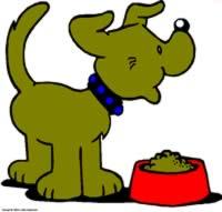 Cambio de alimento: como realizar la transición