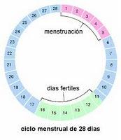 Nuevo test para mujeres con menstruación abundante y hemorragias