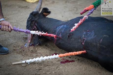 PACMA emprende #MisionAbolicion