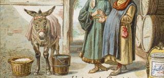 Fatalismo y ratio decidendi