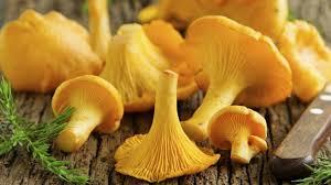 PERIPLO POR EUROPA 2016.- II.- En el corazón de la Silvretta del Tirol austríaco. Pians, Landeck y el domingo de especial celebración personal en Austria