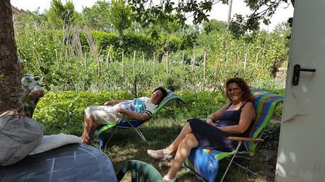 Aire del sur Aire del sur