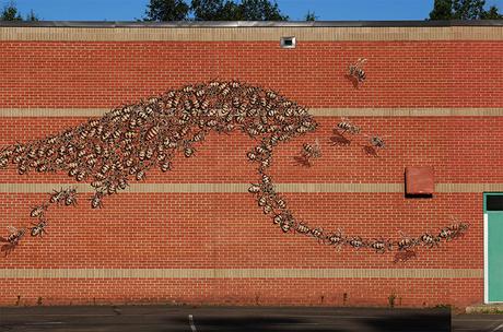 Por el bien de la colmena: El artista Mateo Willey recorre el mundo para pintar 50.000 abejas