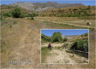 Busdongo-Peñalaza-Rodiezmo-Poladura de la Tercia-Alto el Coito-Busdongo