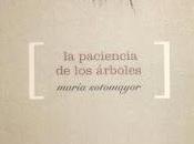 María Sotomayor: paciencia árboles