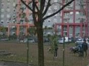 Colegiales: quieren corralito para perros plaza