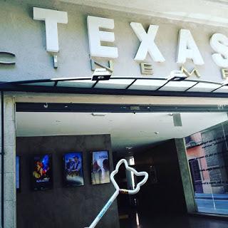 Siete vidas, este gato es un peligro