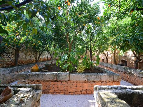 mediterranean style garden