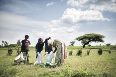 Combatiendo la hambruna en Etiopía empoderando la comunidad