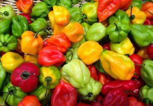 Ensalada Sol, con nutrientes esenciales para el verano, nutricion 