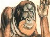 “Cuentos así-fue-como…”, Rudyard Kipling