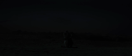 Adam Resurrected - 2008