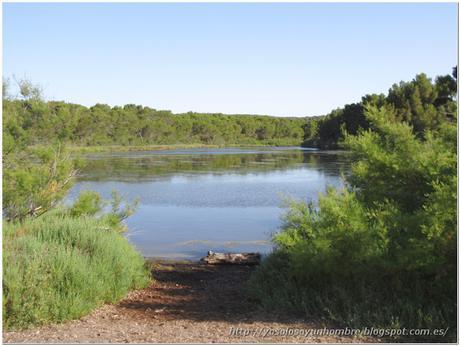 Menorca running (II): Camí de Cavalls – de Es Grau a Faro de Favaritx