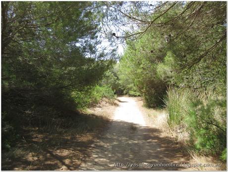 Menorca running (II): Camí de Cavalls – de Es Grau a Faro de Favaritx