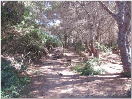 Menorca running (II): Camí de Cavalls – de Es Grau a Faro de Favaritx