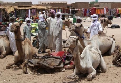 CAP. 16 . . . . . . . . . . . . . . . . . . . . . . . . . . . . . . Andanzas y tropezones de Dikembe Biyombo