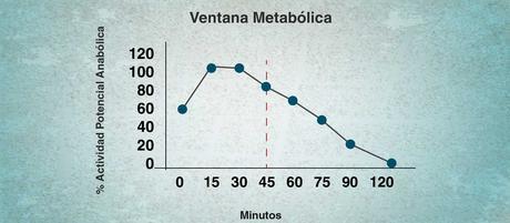 Recovery: fundamental para una buena recuperación muscular