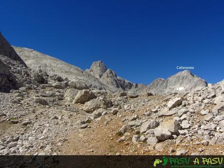 Camino al Torrecerredo