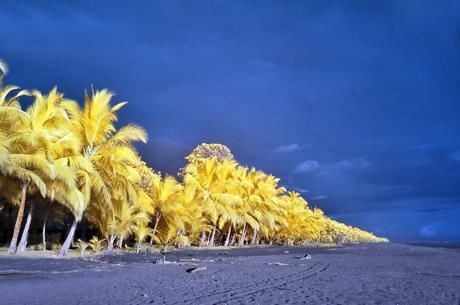 Fotografia Infrarroja Playa De Costa Rica