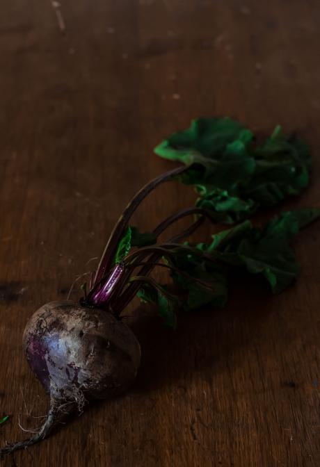 CONSERVA DE REMOLACHA