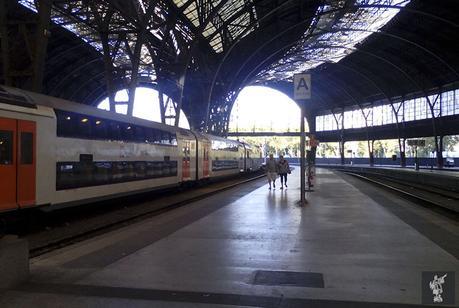 estacion_de_francia_1