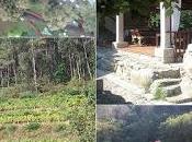 Visitando Adega Entre Ríos