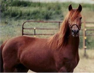 Red Queen (Red Queen #1) de Victoria Aveyard