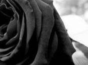 Repatriación cadáveres, ¿quién corre gastos?