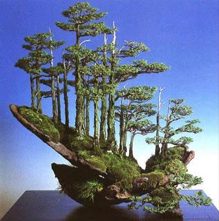 Diorama con Acers Campestres  : 15 grandes cambios para el bosque