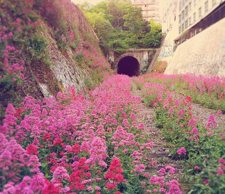 LA NATURALEZA VENCIÓ LA CIVILIZACION