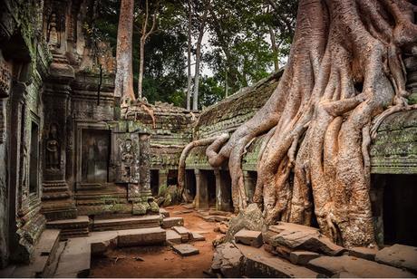 LA NATURALEZA VENCIÓ LA CIVILIZACION