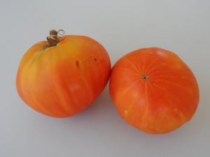 Corazón de Toro Corazón de Toro